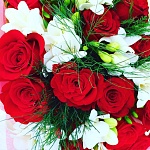 ����������� � �������� ������������� ������� ���� - 8 ����� 2026 ����!